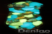  Denigo    